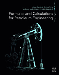Immagine di copertina: Formulas and Calculations for Petroleum Engineering 9780128165089