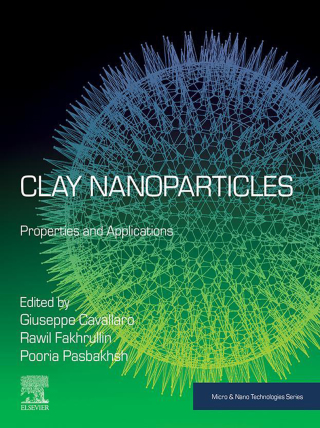 Imagen de portada: Clay Nanoparticles 1st edition 9780128167830