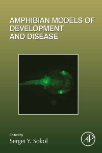 Titelbild: Amphibian Models of Development and Disease 9780128168332