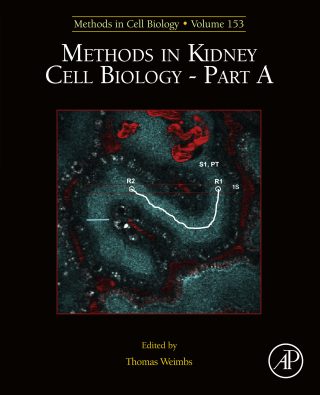 Cover image: Methods in Kidney Cell Biology Part A 9780128170823