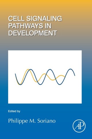 表紙画像: Cell Signaling Pathways in Development 9780128170977