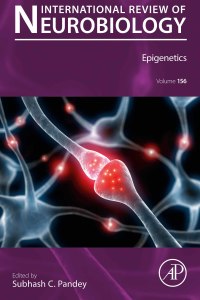 Immagine di copertina: Epigenetics 9780128172384