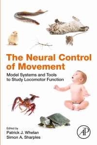 Cover image: The Neural Control of Movement 1st edition 9780128164778