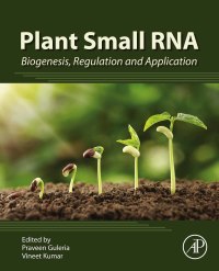 صورة الغلاف: Plant Small RNA 1st edition 9780128171127