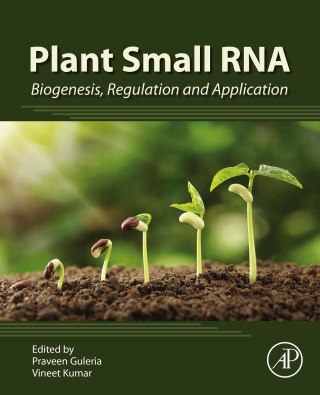 Cover image: Plant Small RNA 1st edition 9780128171127