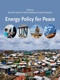 Cover image: Energy Policy for Peace 1st edition 9780128173503