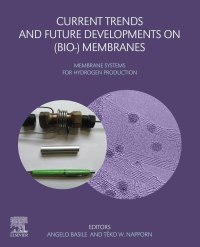 Titelbild: Current Trends and Future Developments on (Bio-) Membranes 1st edition 9780128171103
