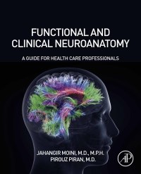 Cover image: Functional and Clinical Neuroanatomy 9780128174241