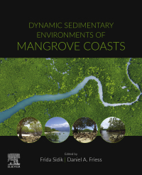 Cover image: Dynamic Sedimentary Environments of Mangrove Coasts 1st edition 9780128164372