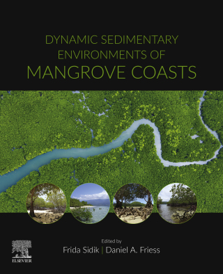 表紙画像: Dynamic Sedimentary Environments of Mangrove Coasts 1st edition 9780128164372