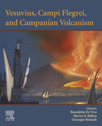 Omslagafbeelding: Vesuvius, Campi Flegrei, and Campanian Volcanism 9780128164549