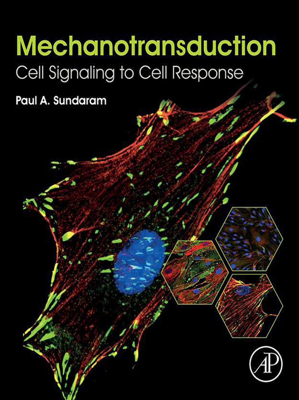 Mechanotransduction Cell Signaling to Cell Response