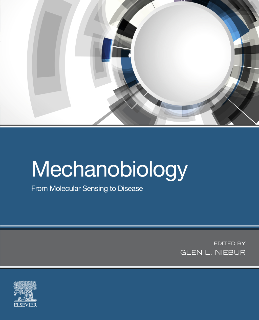 Mechanobiology From Molecular Sensing to Disease