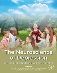 Titelbild: The Neuroscience of Depression 9780128179352