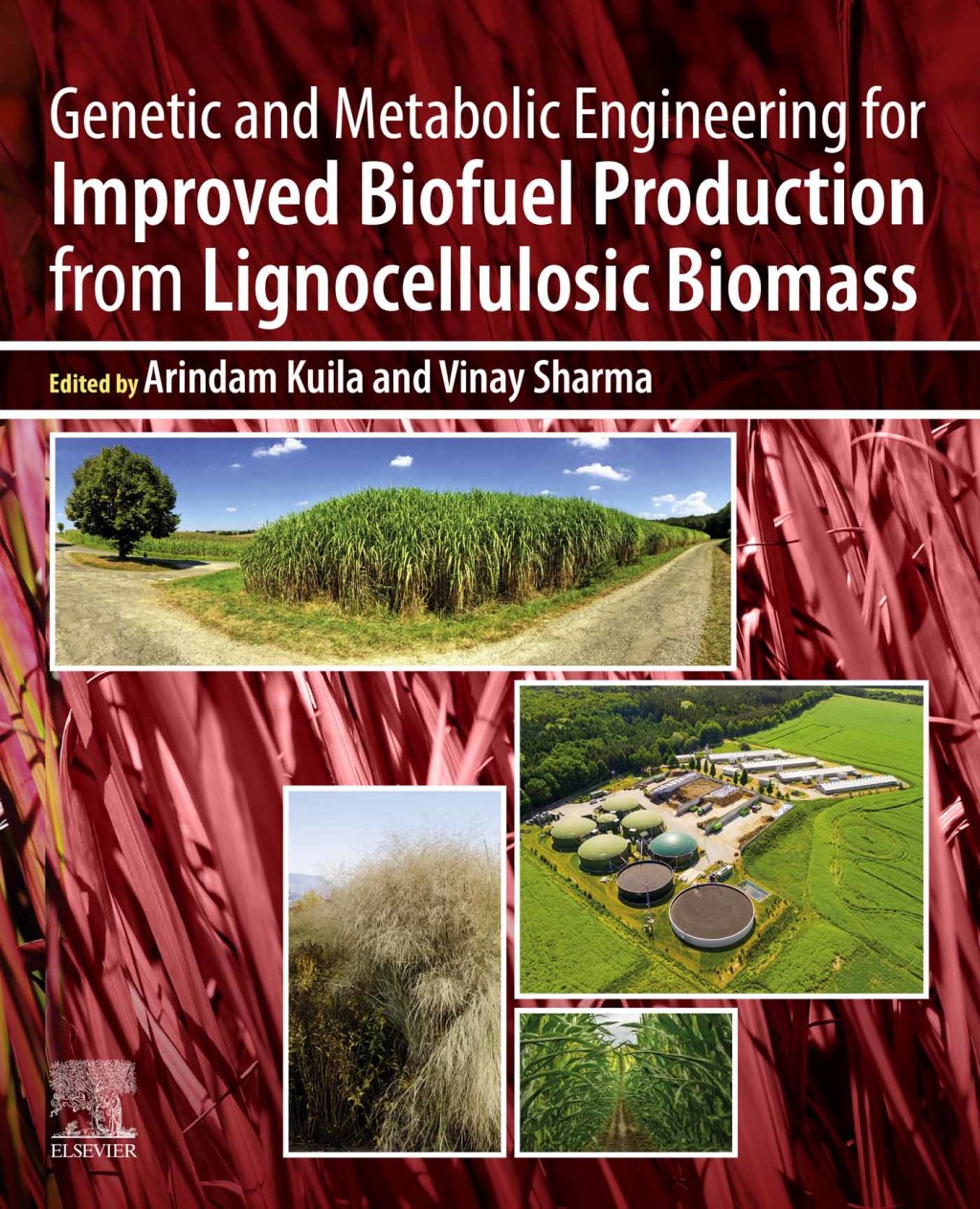 Genetic and Metabolic Engineering for Improved Biofuel Production from Lignocellulosic Biomass 1st Edition