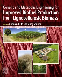 Omslagafbeelding: Genetic and Metabolic Engineering for Improved Biofuel Production from Lignocellulosic Biomass 1st edition 9780128179536