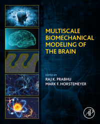 Omslagafbeelding: Multiscale Biomechanical Modeling of the Brain 9780128181447