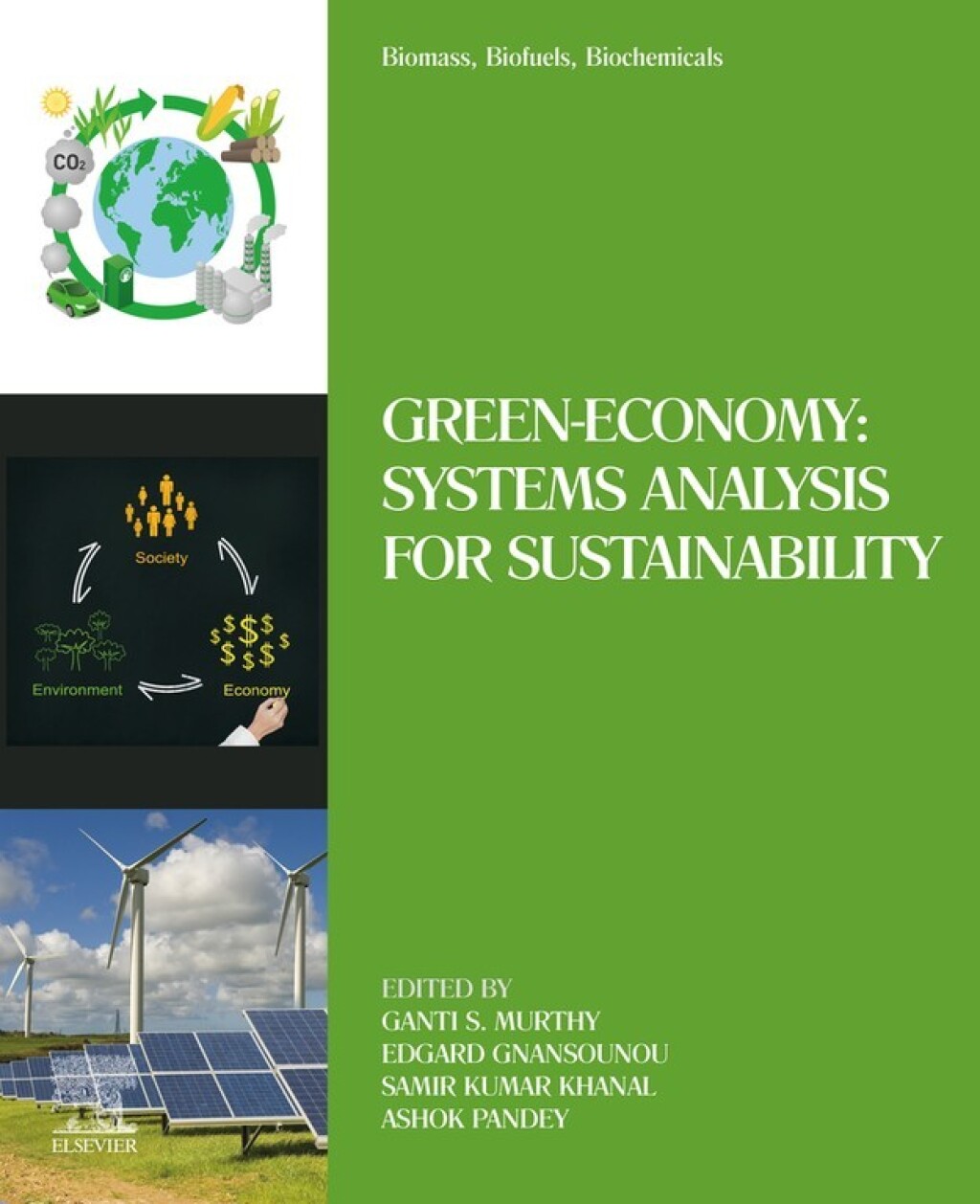 Biomass, Biofuels, Biochemicals Green-Economy: Systems Analysis for Sustainability