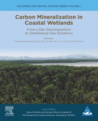 Imagen de portada: Carbon Mineralization in Coastal Wetlands 9780128192207