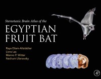 Imagen de portada: Stereotaxic Brain Atlas of the Egyptian Fruit Bat 9780128192979