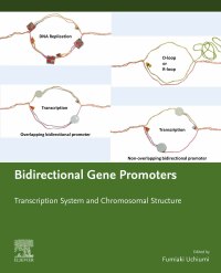 Imagen de portada: Bidirectional Gene Promoters 1st edition 9780128187876