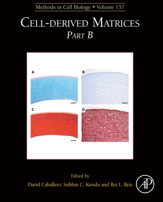 Cover image: Cell-Derived Matrices Part B 1st edition 9780128201749