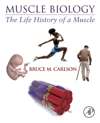 Imagen de portada: Muscle Biology 9780128202784