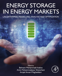 Imagen de portada: Energy Storage in Energy Markets 9780128200957