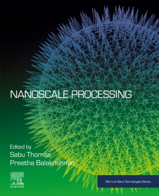 表紙画像: Nanoscale Processing 9780128205693