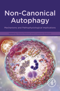 Omslagafbeelding: Non-Canonical Autophagy 9780128205389