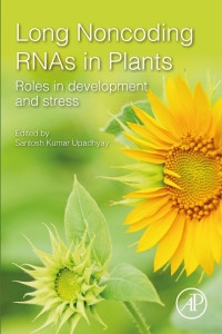 Imagen de portada: Long Noncoding RNAs in Plants 9780128214527