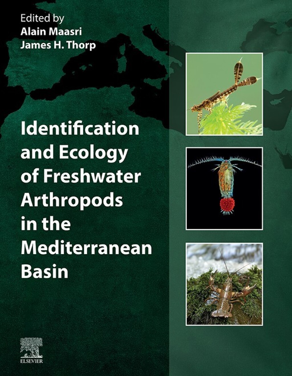 Identification and Ecology of Freshwater Arthropods in the Mediterranean Basin 1st Edition