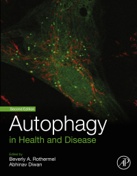 Omslagafbeelding: Autophagy in Health and Disease 2nd edition 9780128220030