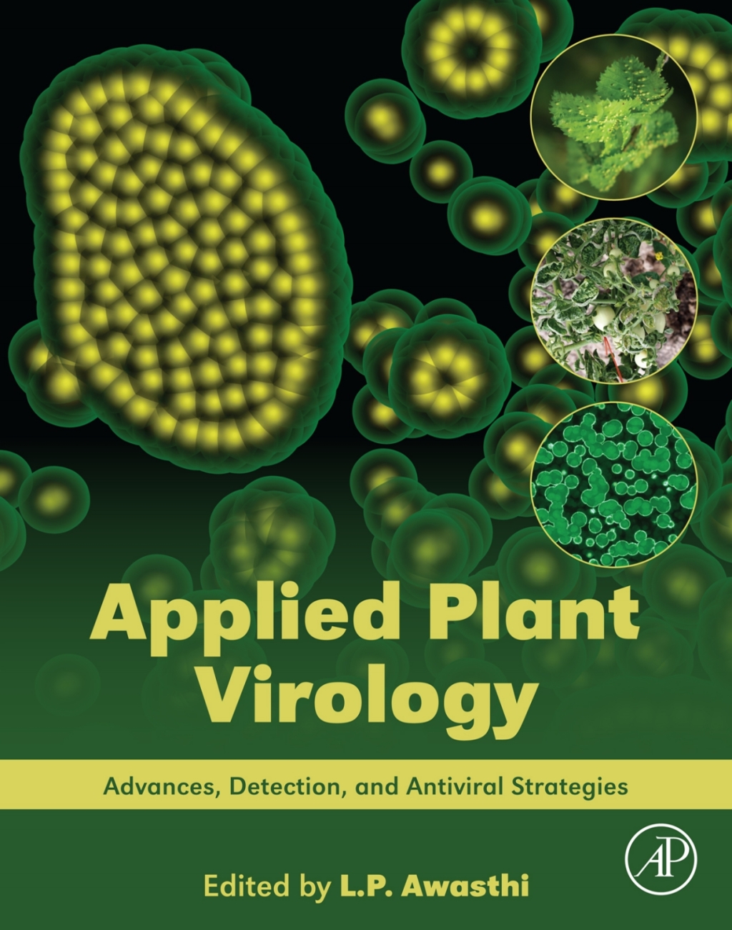 Applied Plant Virology Advances, Detection, and Antiviral Strategies 1st Edition