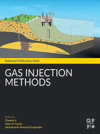 Cover image: Gas Injection Methods 1st edition 9780128223024