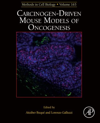 Immagine di copertina: Carcinogen-Driven Mouse Models of Oncogenesis 9780128225349