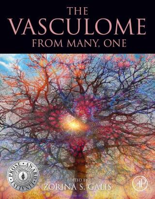 Imagen de portada: The Vasculome 9780128225462