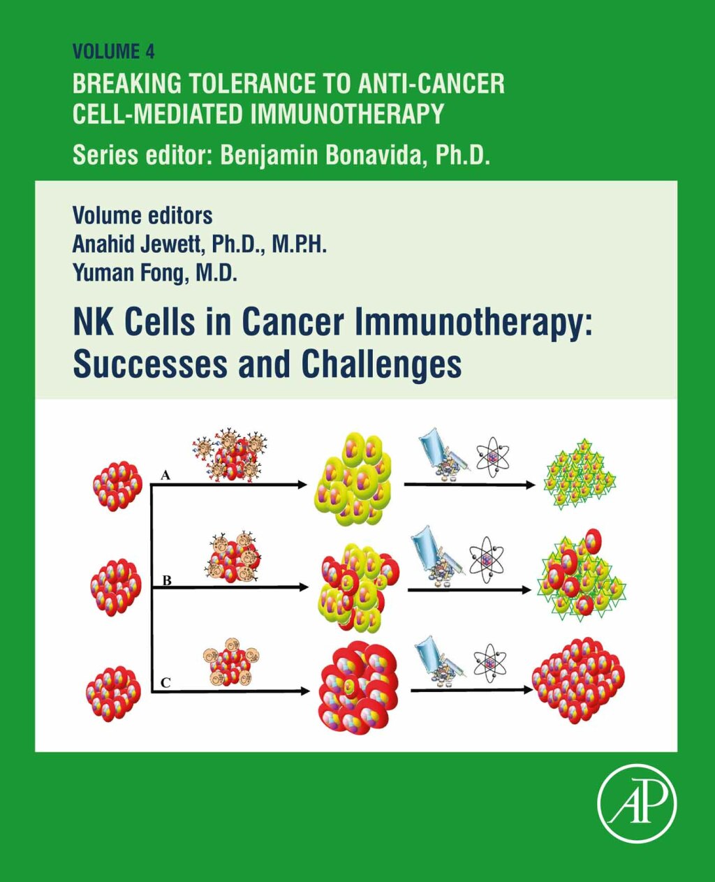 NK Cells in Cancer Immunotherapy: Successes and Challenges 1st Edition