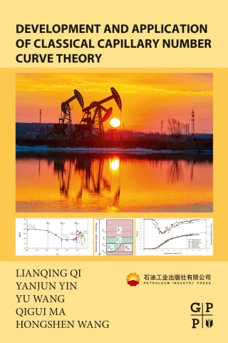 Imagen de portada: Development and Application of Classical Capillary Number Curve Theory 9780128212257