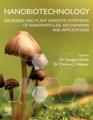 Imagen de portada: Nanobiotechnology 9780128228784