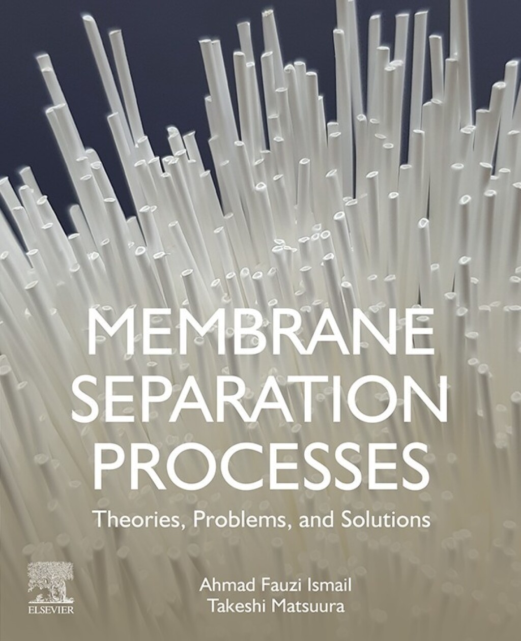 Membrane Separation Processes Theories, Problems, and Solutions
