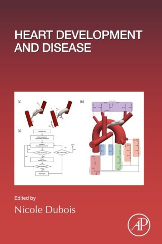 Imagen de portada: Heart Development and Disease 1st edition 9780128232972