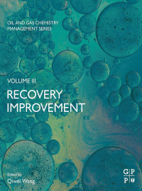 Omslagafbeelding: Recovery Improvement 1st edition 9780128233634