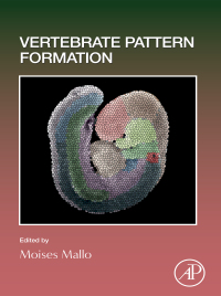 Titelbild: Vertebrate Pattern Formation 1st edition 9780128234617