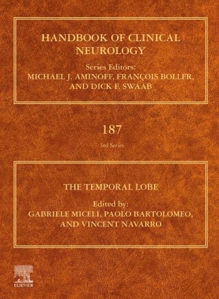 Imagen de portada: The Temporal Lobe 1st edition 9780128234938