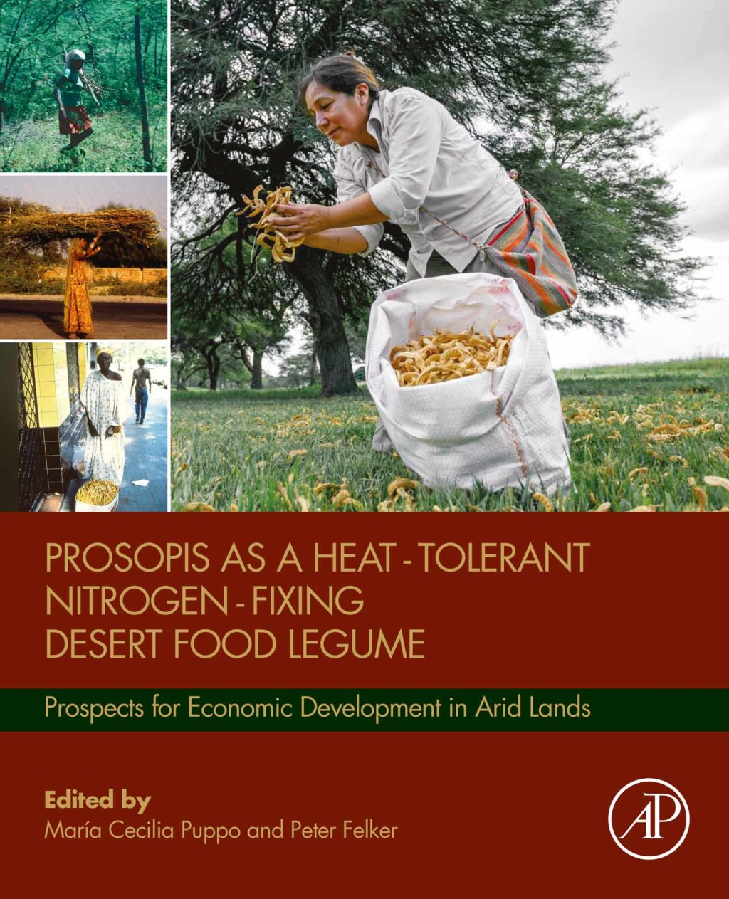 Prosopis as a Heat Tolerant Nitrogen Fixing Desert Food Legume Prospects for Economic Development in Arid Lands