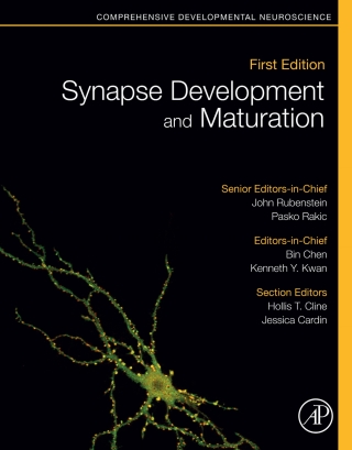 Imagen de portada: Synapse Development and Maturation 1st edition 9780128236727