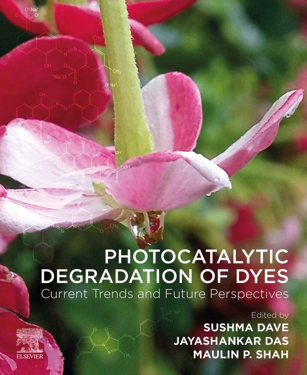 Photocatalytic Degradation of Dyes Current Trends and Future Perspectives