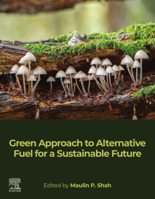 Titelbild: Green Approach to Alternative Fuel for a Sustainable Future 1st edition 9780128243183