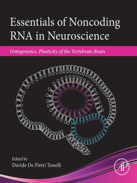 Immagine di copertina: Essentials of Noncoding RNA in Neuroscience 9780128044025